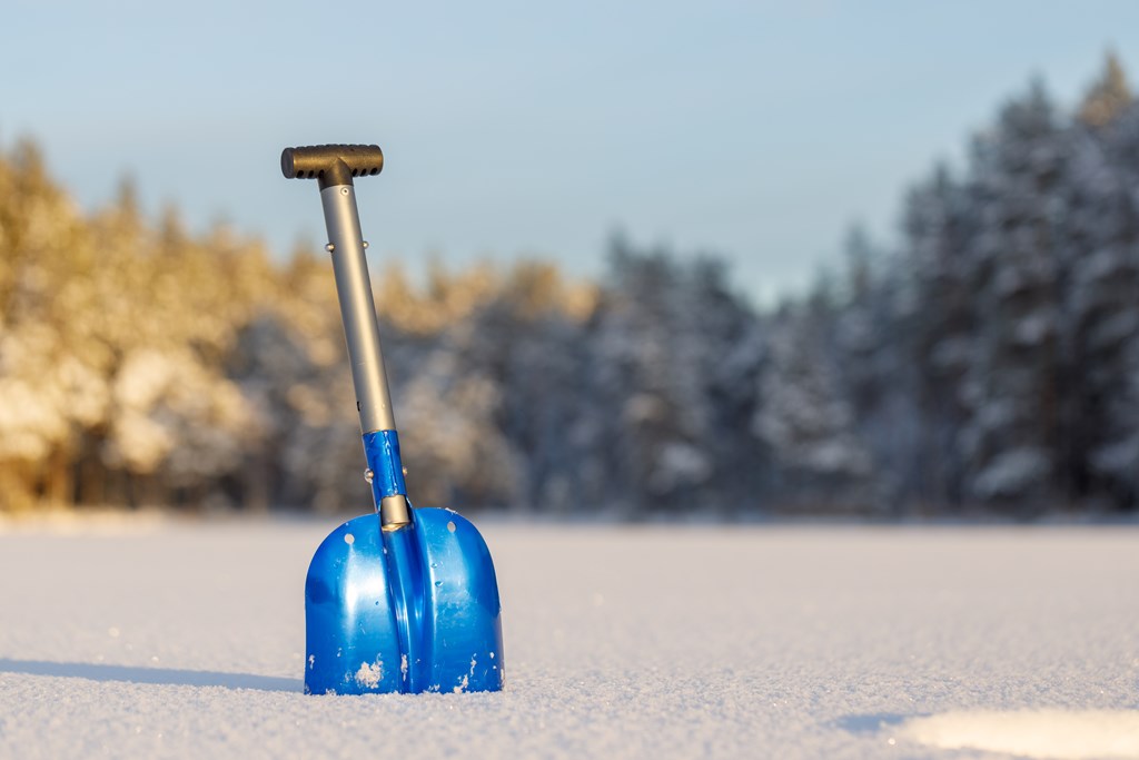 Blue snow shovel on the background of the winter forest. The background is blurred, shovel in focus.