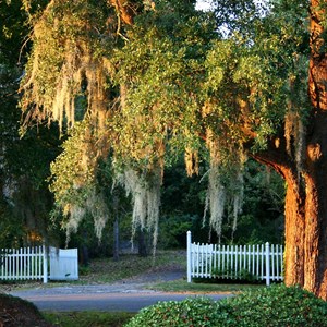 Guide to Things To Do & Camping in South Carolina | Featured Region Image