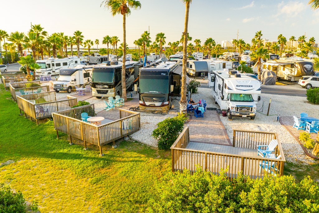 RV sites lined with palm trees at South Padre Island KOA Holiday.