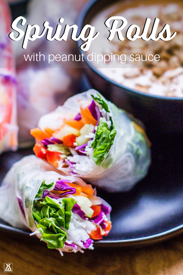 Crisp, colorful and crunchy, these simple and healthy spring rolls are a fun way to switch up your usual camping menu. Make our spring rolls with peanut dipping sauce.