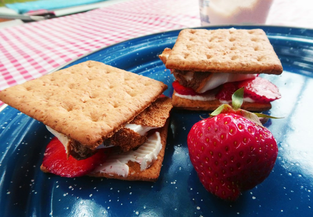 Dessert Smores with stawberries, chocolate, marshmallow, Graham crackers and cream cheese on blue enamel plate