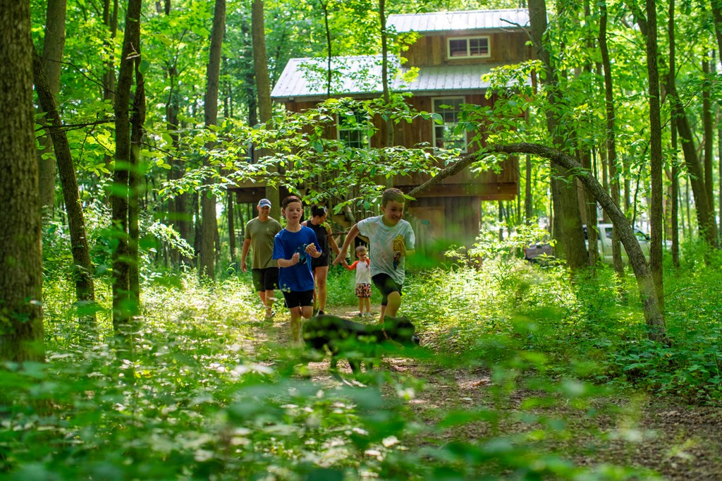 Kids running through the forest surrounding a treehouse at a KOA campground.