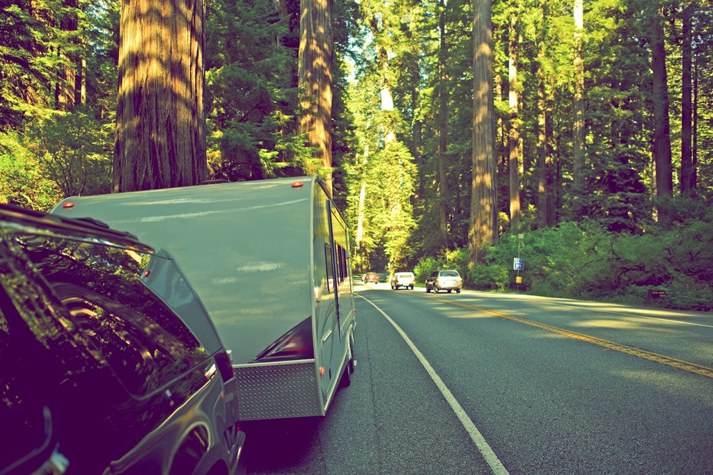 Travel Trailer Pulled by SUV on the Side of the Redwood Road. United States.