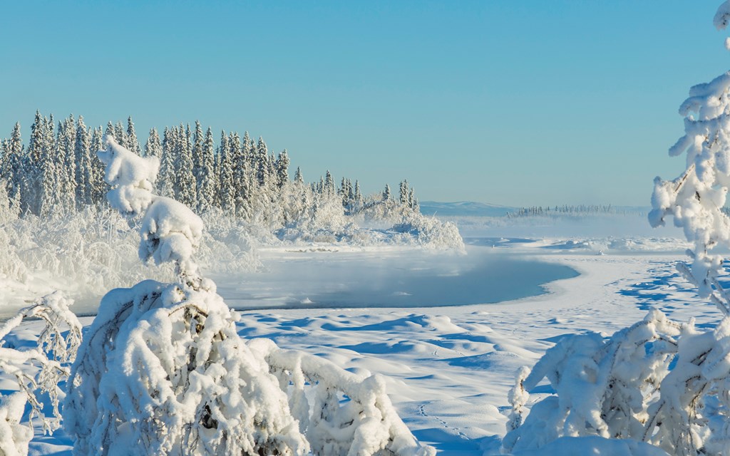 Frozen wilderness with an open pond with temperatures below zero.
