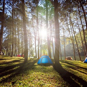 Sustainability For Kids: What They Should Know Image