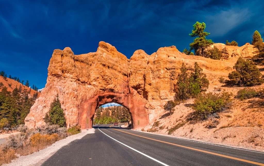 Red Canyon on the Dixie National Forest at the entrance of Bryce Canyon National Park, Utah, USA.