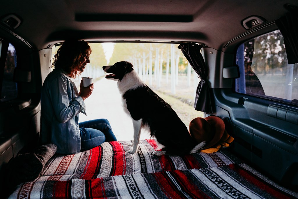 A woman van life camping with her border collie.