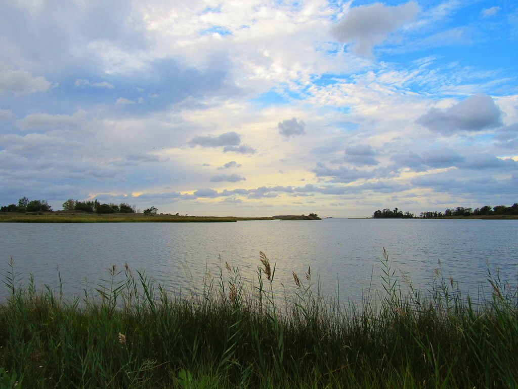 A view of the shoreline of the Chesapeake Bay natural scene showing the shoreline landscape.