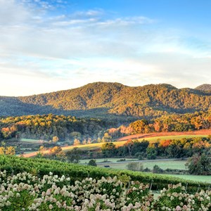 Top 23 Weekend Getaways in Virginia | Weekend Trip & Destination Ideas Image