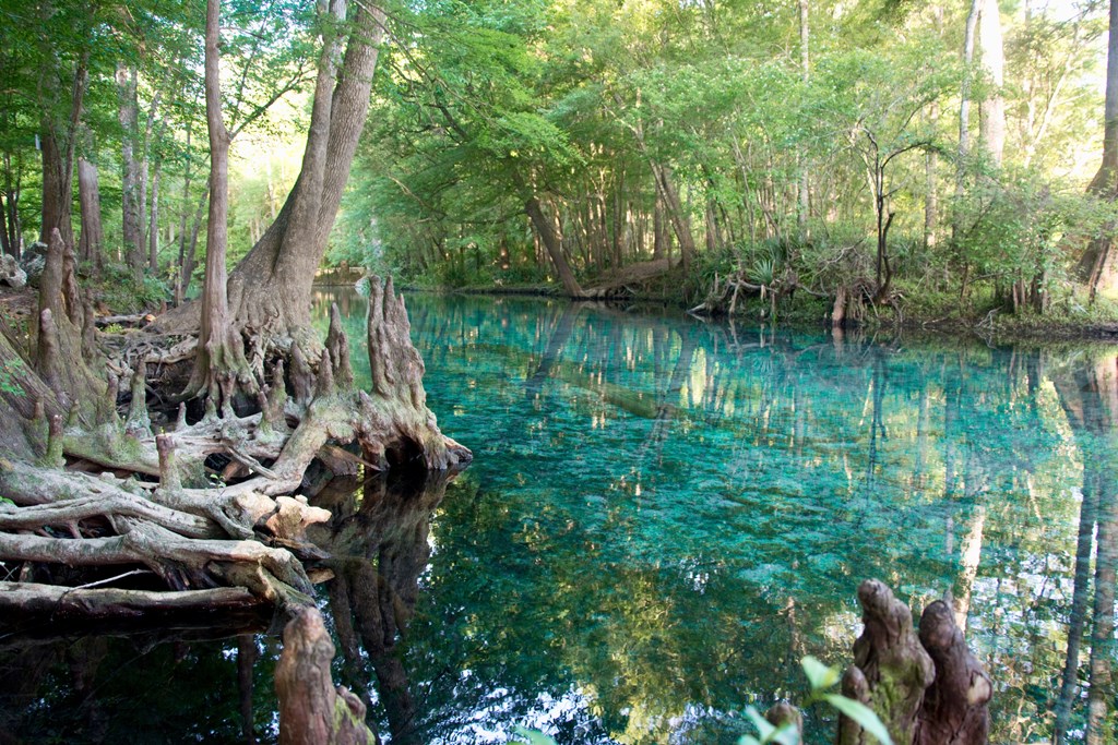 A crystal blue mineral pool is surrounded by green vegetation.