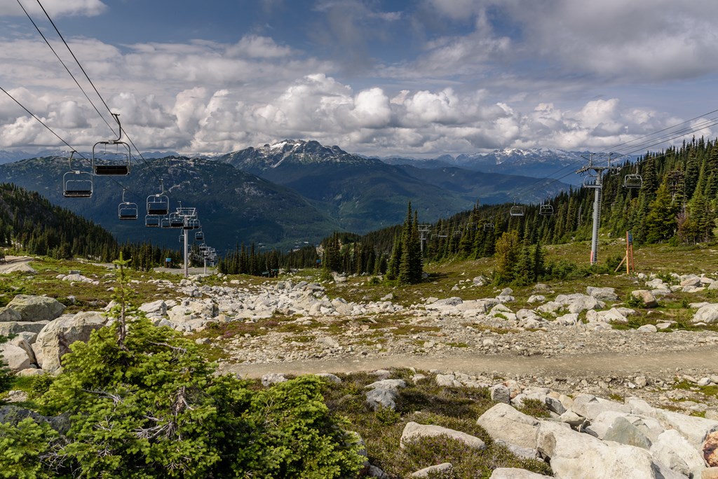 Ski chairlifts, on an alpine mountain, during the summer.
