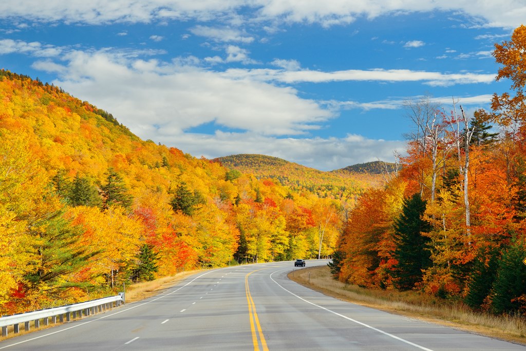 A highway between rolling hills covered with bright yellow and orange fall foliage.