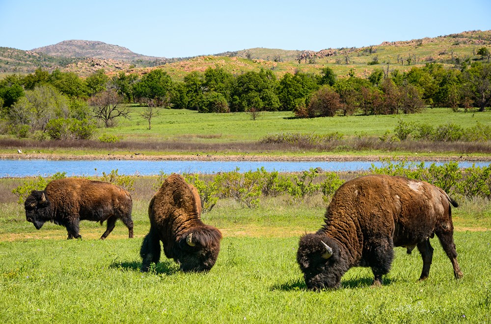 10 Great Destinations on the Great Plains