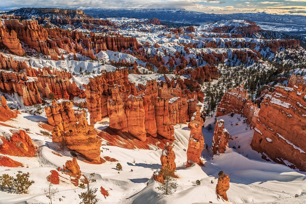 Winter Morning on Bryce Canyon National Park, Utah.