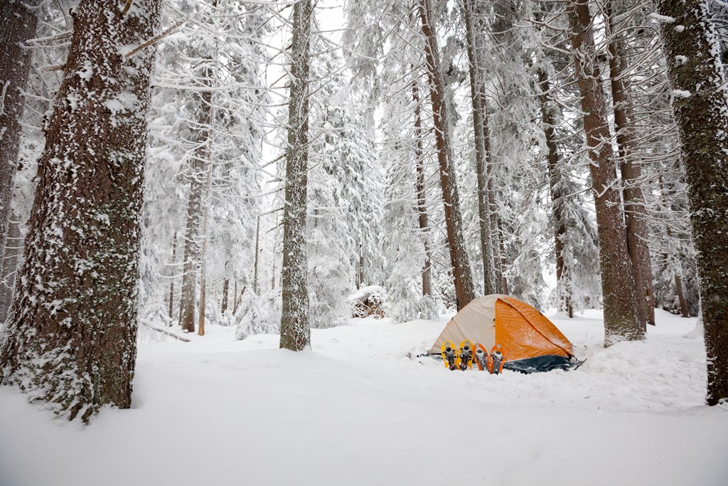 Yellow tent in a snowy forest.
