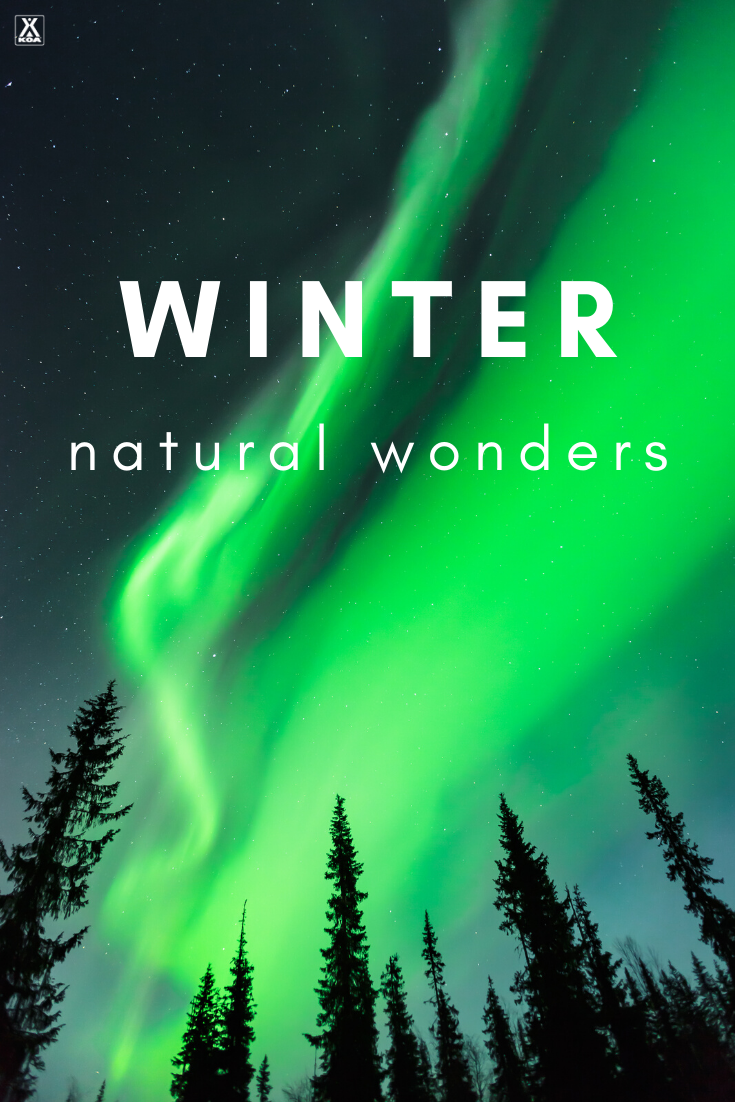 Adventure doesn't have to stop just because the weather is cold. In fact, some things are even better in the colder months. From the Aurora Borealis to the Canis lupus and from frozen to boiling water, here are a few natural wonders best experienced in the winter.