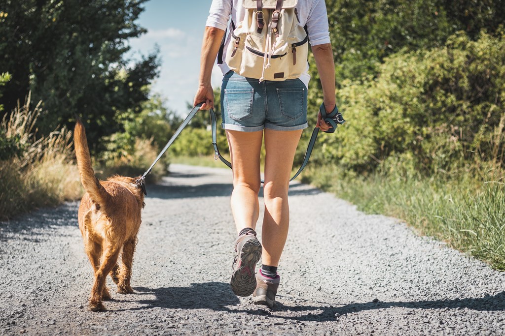 Female tourist with backpack and mixed breed dog on a leash walking outdoors.