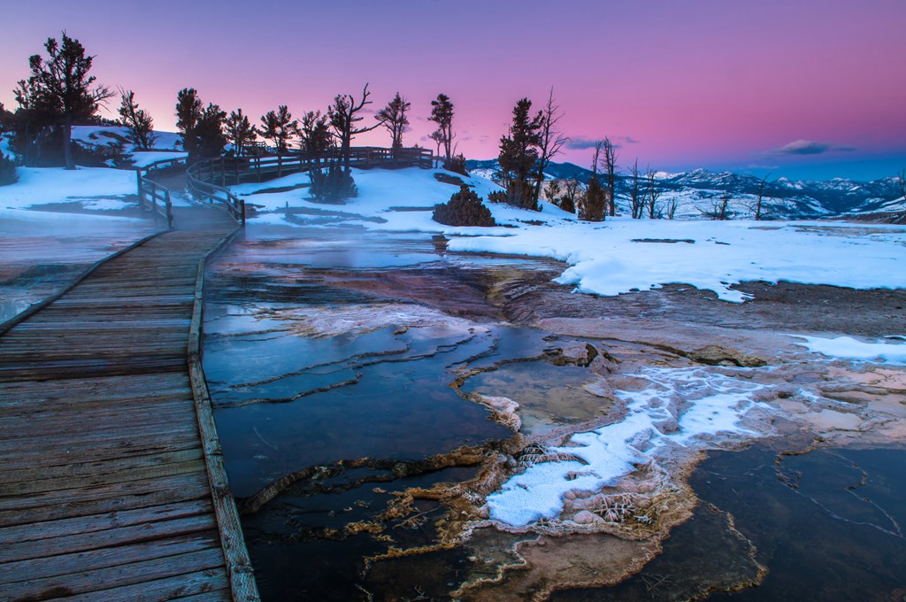A wooden boardwalk crosses above the shallow hot spring pools of Mammoth in Yellowstone National Park. A light snow covers the scene at dusk.