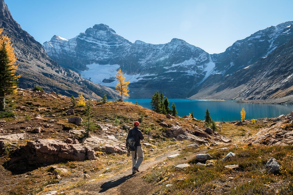 Hiking Lake O'Hara to Lake McArthur Trail in autumn. Yoho National Park, Canadian Rockies.