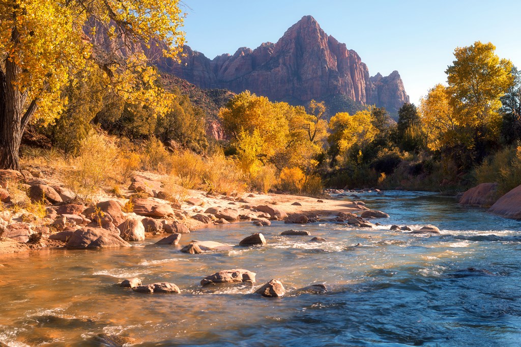 View of the Watchman mountain and the virgin river in Zion National Park located in the Southwestern United States, near Springdale, Utah