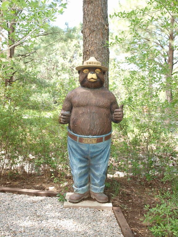 Lincoln National Forest