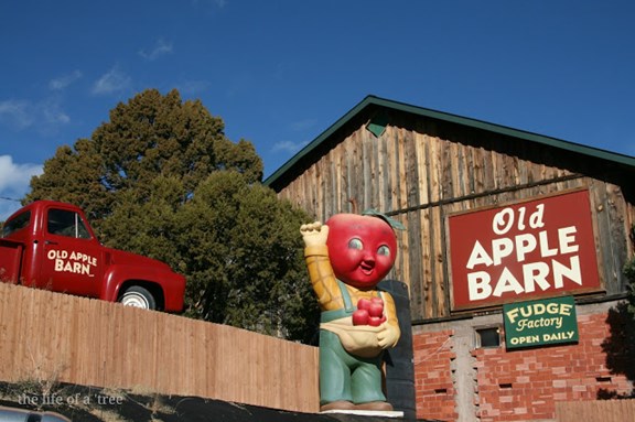 Old Apple Barn