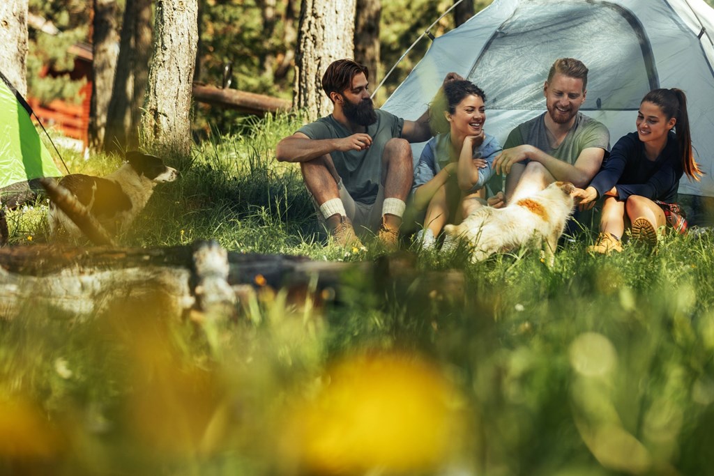 7 Tips for Budget-Friendly Camping