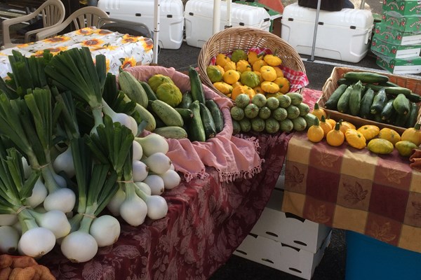 Corvallis Farmers Market Photo