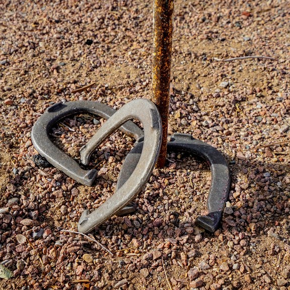 CLOSED - Horsing Around with Horseshoes