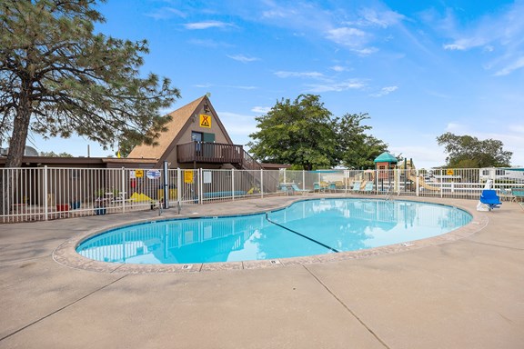 Large Swimming Pool