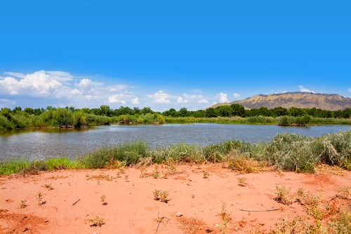 Rio Grande Nature Center