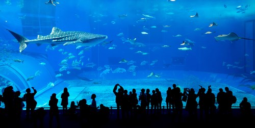 Albuquerque Aquarium