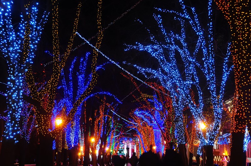 River of Lights Holiday Light Show Event at the Albuquerque KOA