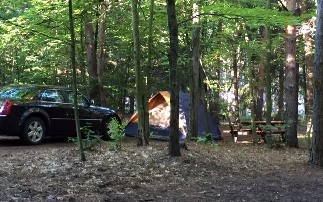 Allendale, Michigan Tent Camping Sites | Allendale / West ...