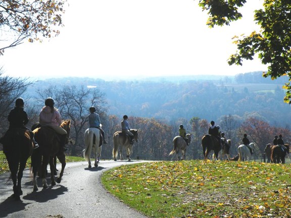 Horseback Riding from Holly Hill Farm (Horseng Farm)