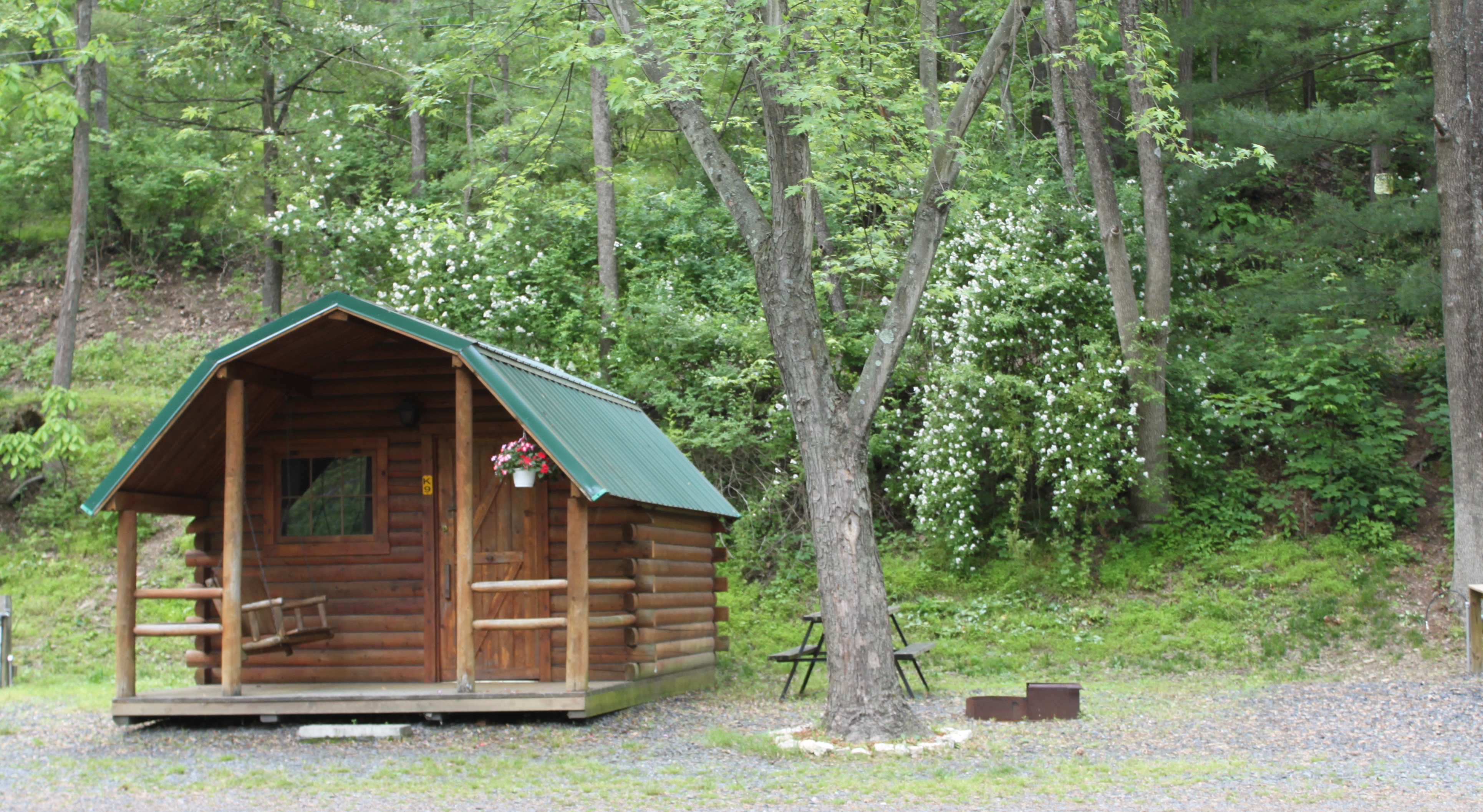 One room cabin