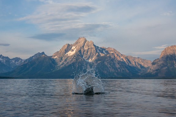 Grand Teton National Park