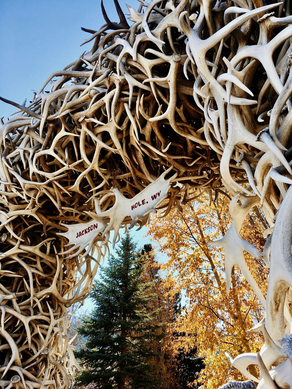 Upcoming Events in Jackson Hole: September 2025