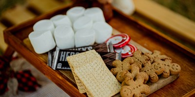 Celebrating National S'mores Day: 25 Creative S'more Recipes