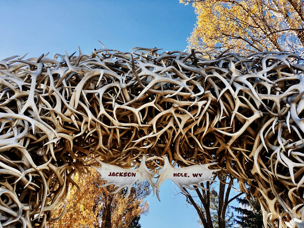 Jackson Hole is Buzzing! Your Guide to 2025 Summer Events
