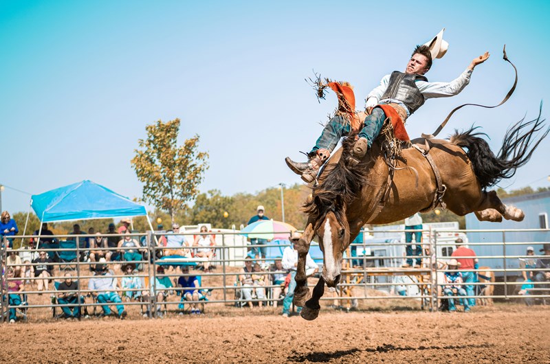 Jackson Hole Rodeo Photo