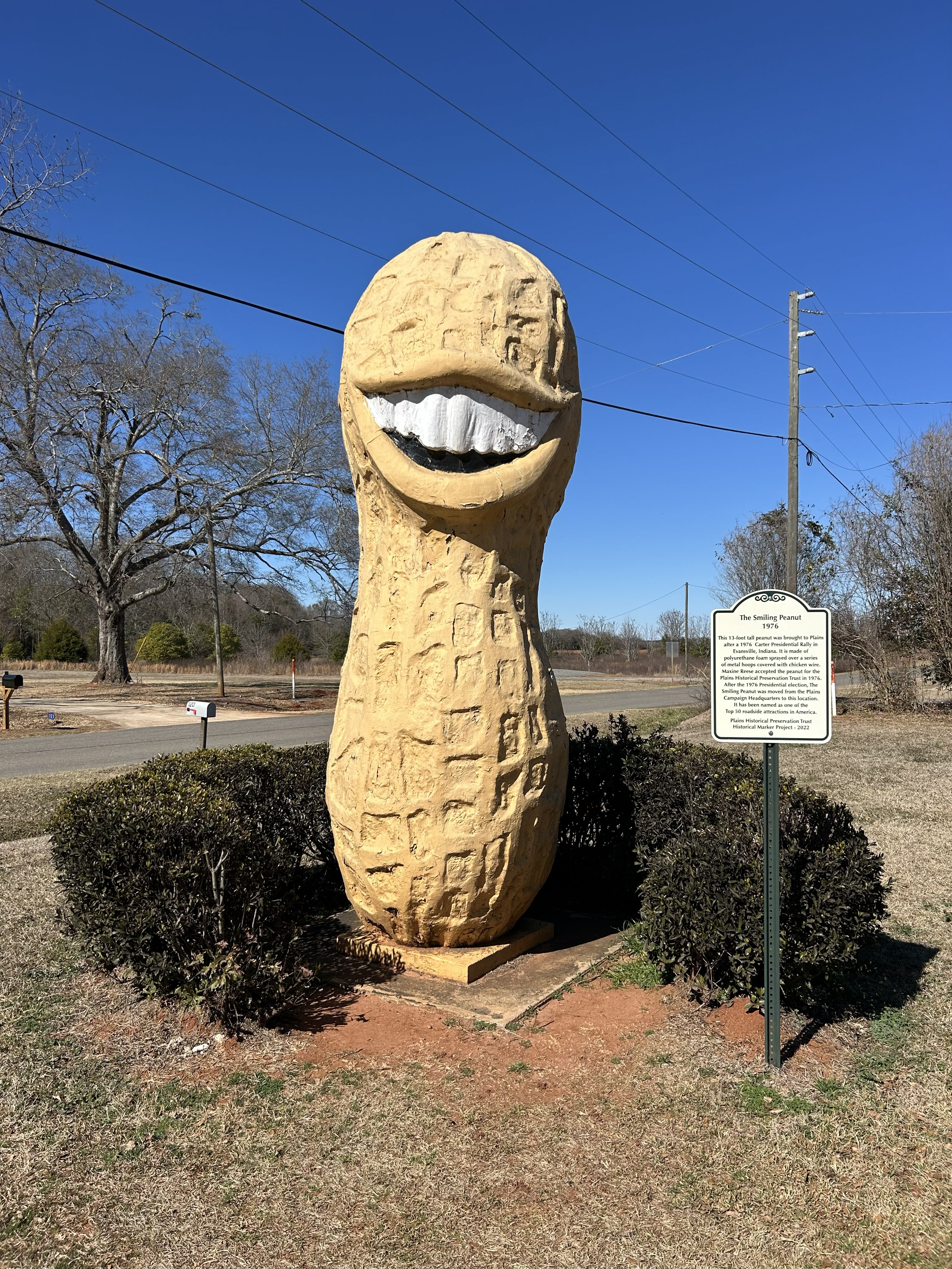 Plains Peanut Festival Photo