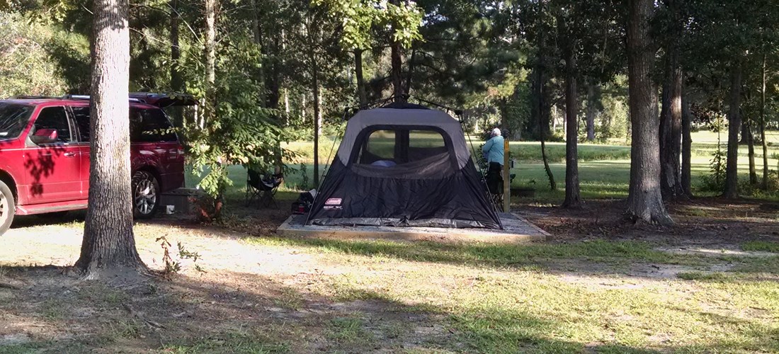Tent Site 1 with raised tent pad 14x16 , picnic table, firering and electric