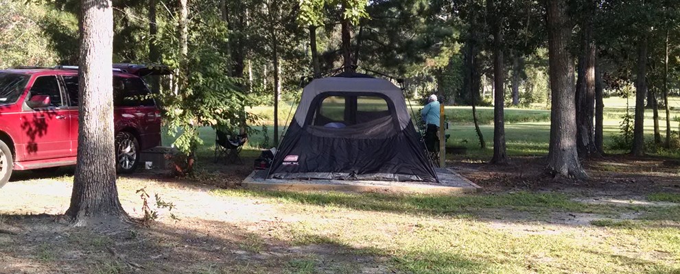 Tent Site 1 with raised tent pad 14x16 , picnic table, firering and electric