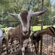 Split Creek Farm