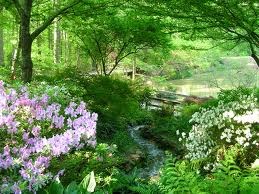 South Carolina Botanical Garden