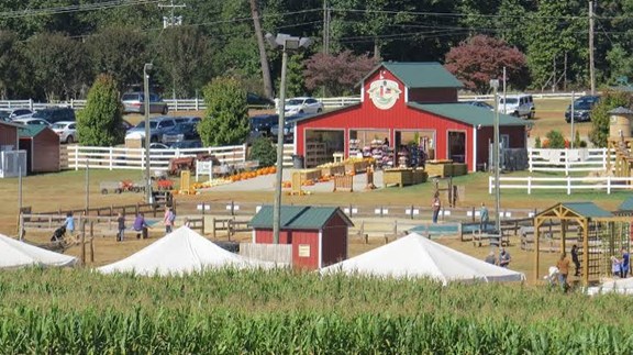 Denver Downs Farm