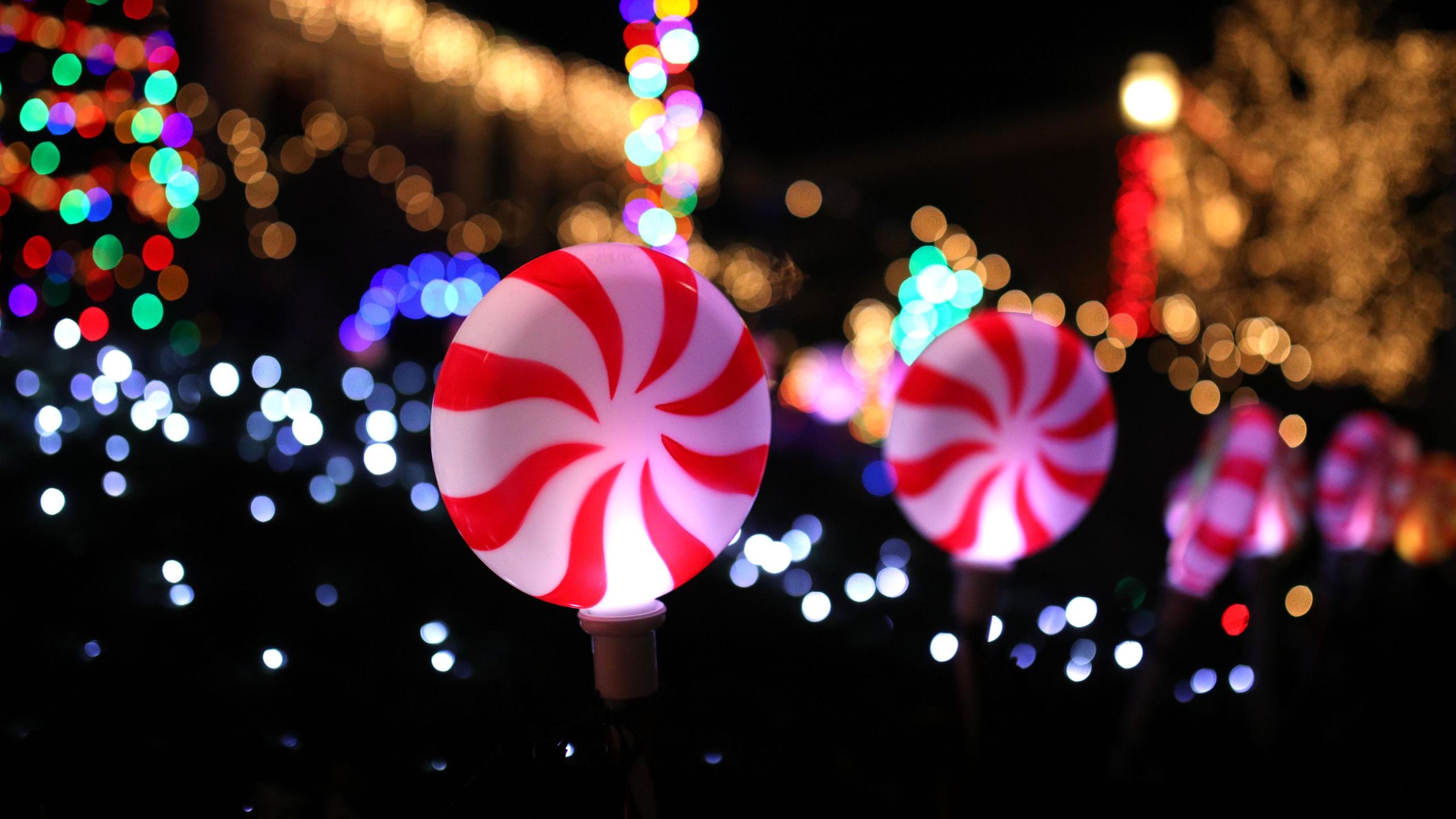 Holiday Lights in Upstate SC Photo