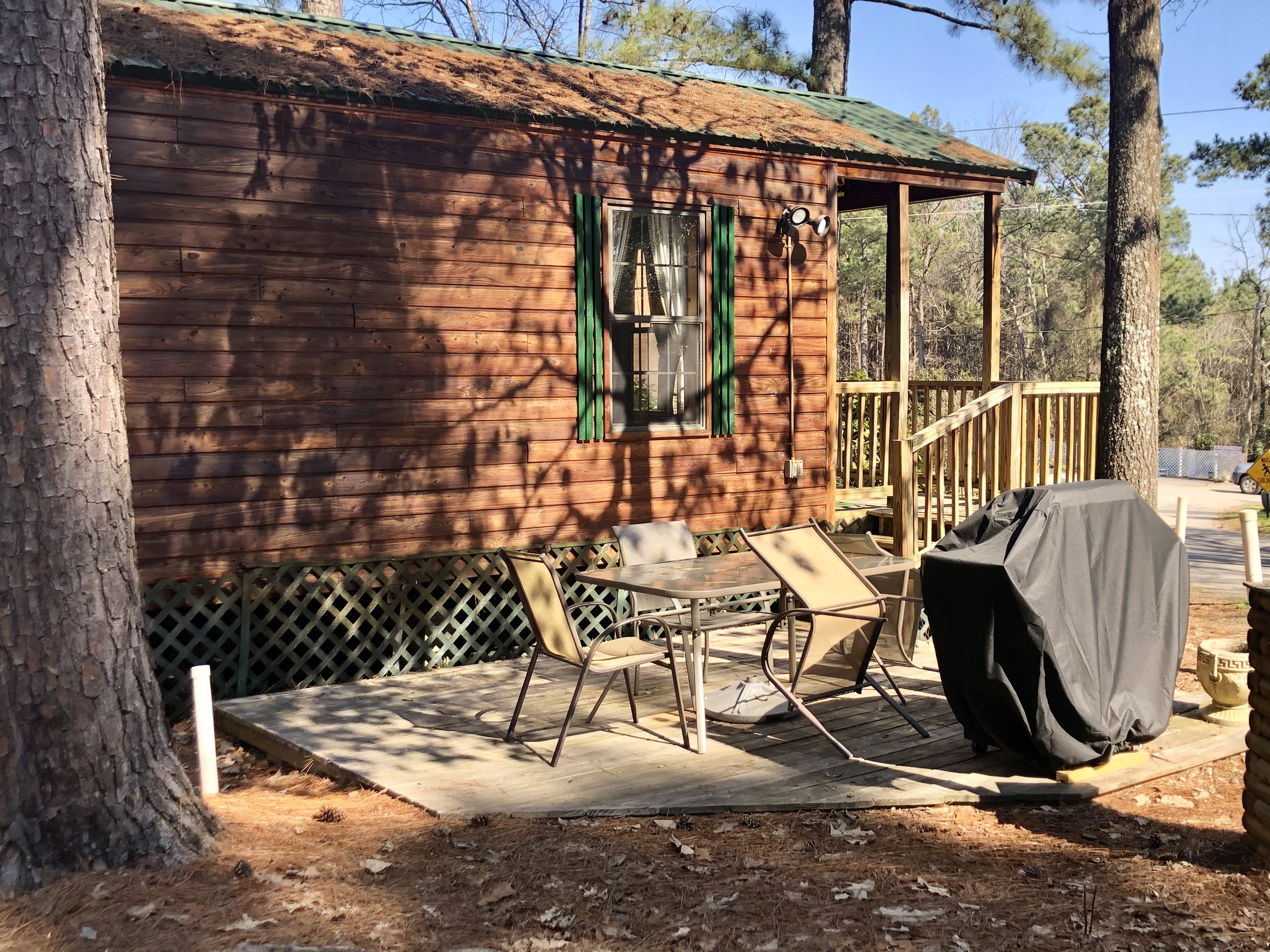 Deluxe cabin – park model with picnic table (in warmer months has umbrella) and gas grill.