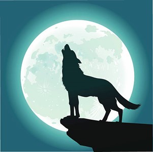 2025 Full Moon Special